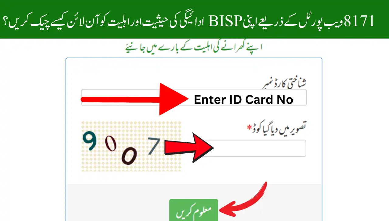 Check Your BISP Payment Status & Eligibility Online By 8171 Web Portal